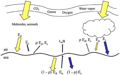 Directional and Spectral Irradiance in Ocean Models: Effects on Simulated Global Phytoplankton, Nutrients, and Primary Production